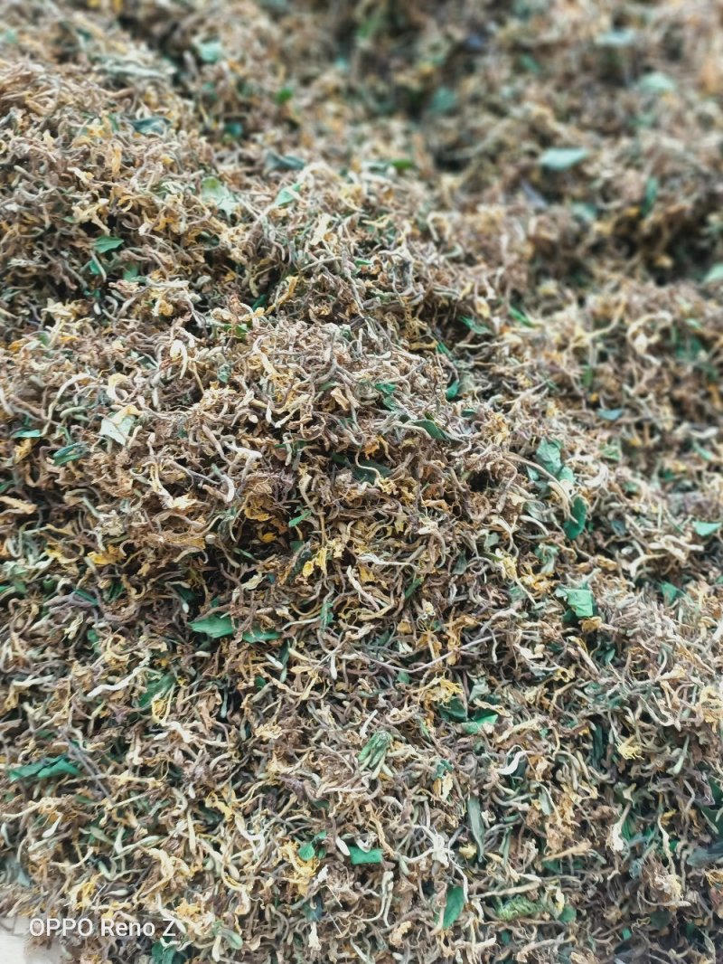野金银花