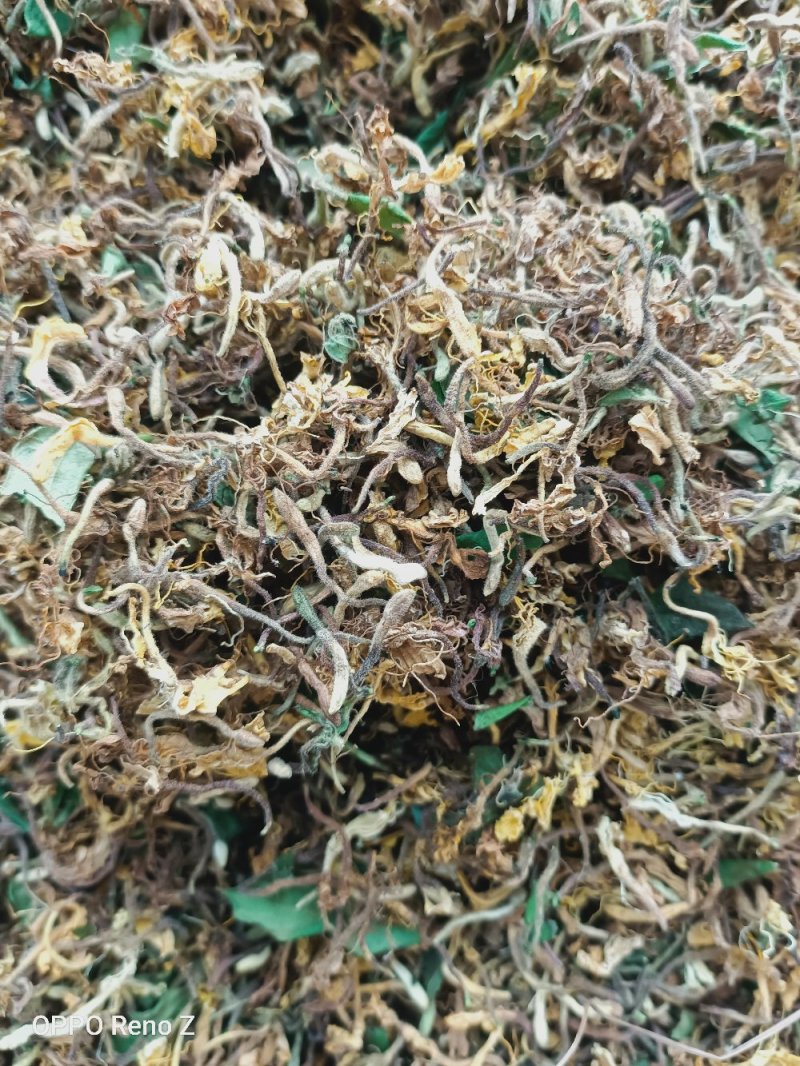 野金银花