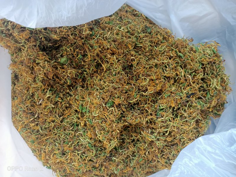 野金银花