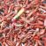 狗🦐渤海湾特产好吃不贵特别新鲜美味可口