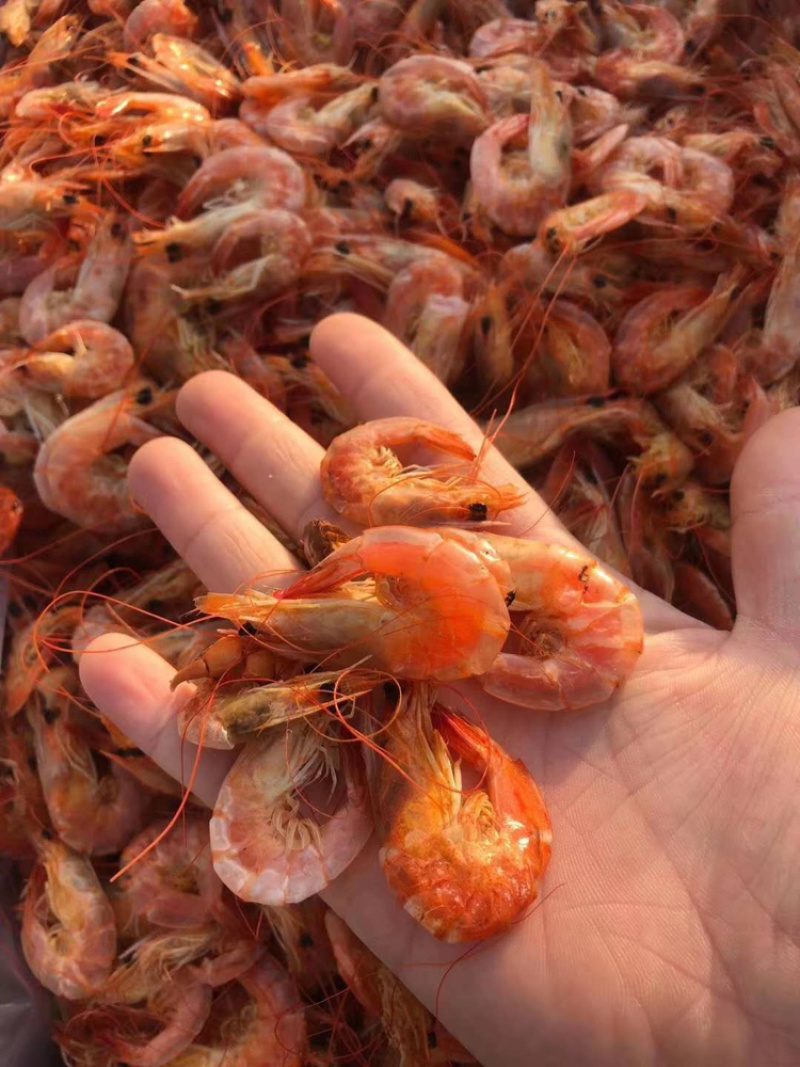 无盐烤虾壳肉分离特别有嚼劲五斤包邮诚招代理商