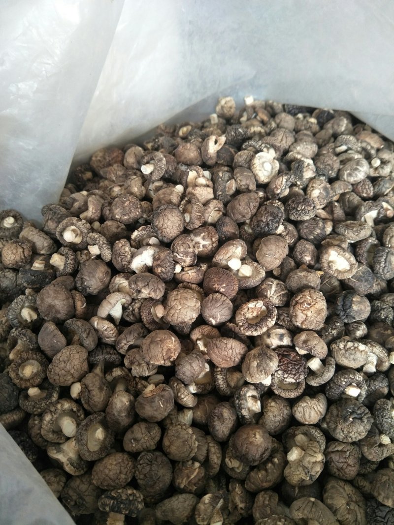干香菇批发行业的最新趋势