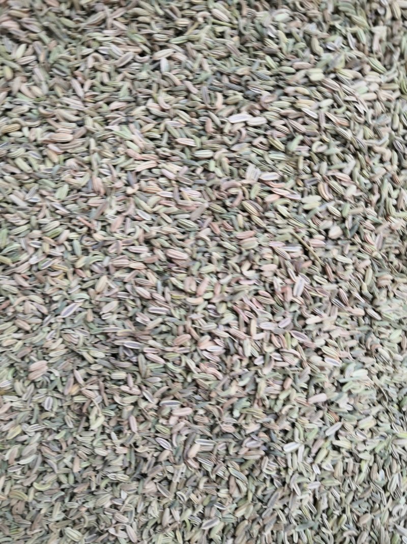 小茴香大货批发一手货源价格优！量大包邮。