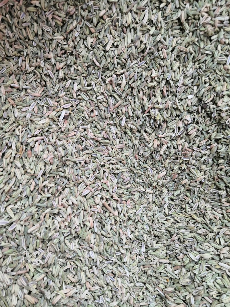 小茴香大货批发一手货源价格优！量大包邮。