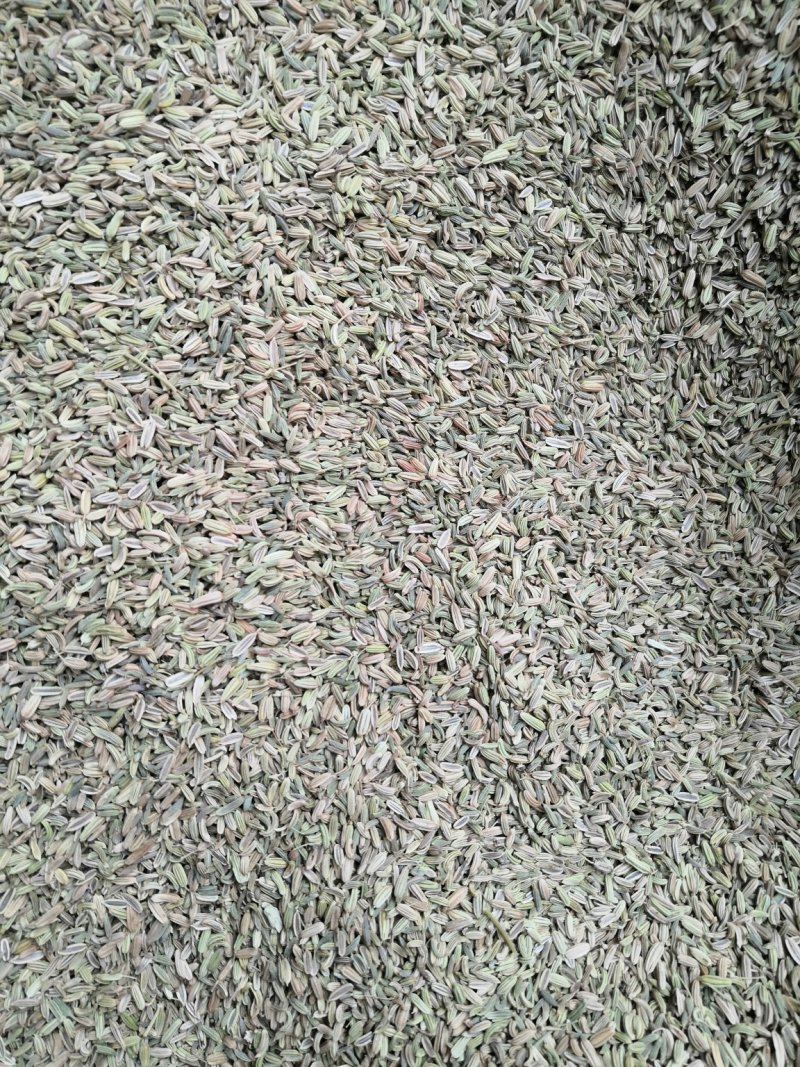 小茴香大货批发一手货源价格优！量大包邮。