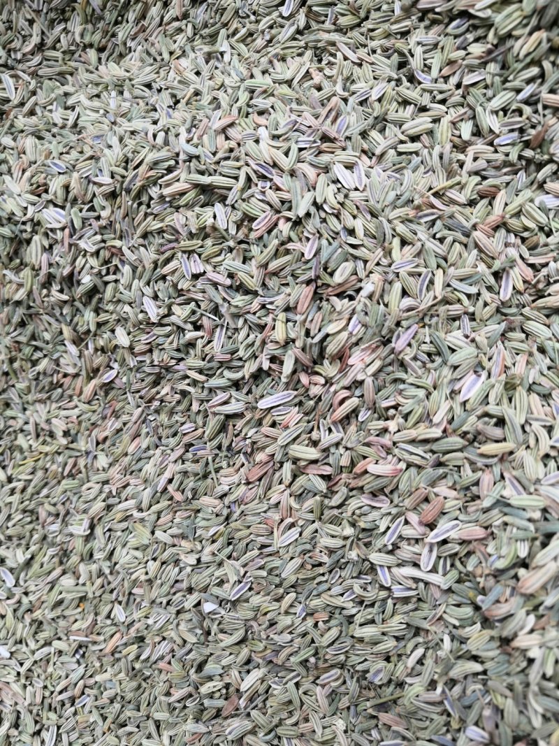 小茴香大货批发一手货源价格优！量大包邮。