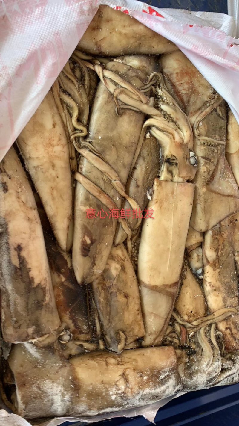 大鱿鱼整只冷冻香辣鱿鱼须海鲜水产批发