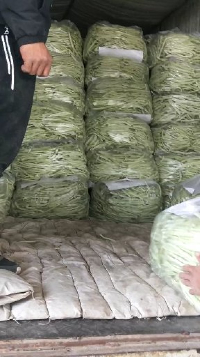白不老20cm以上，九粒白主产区，收费透明可视频看货