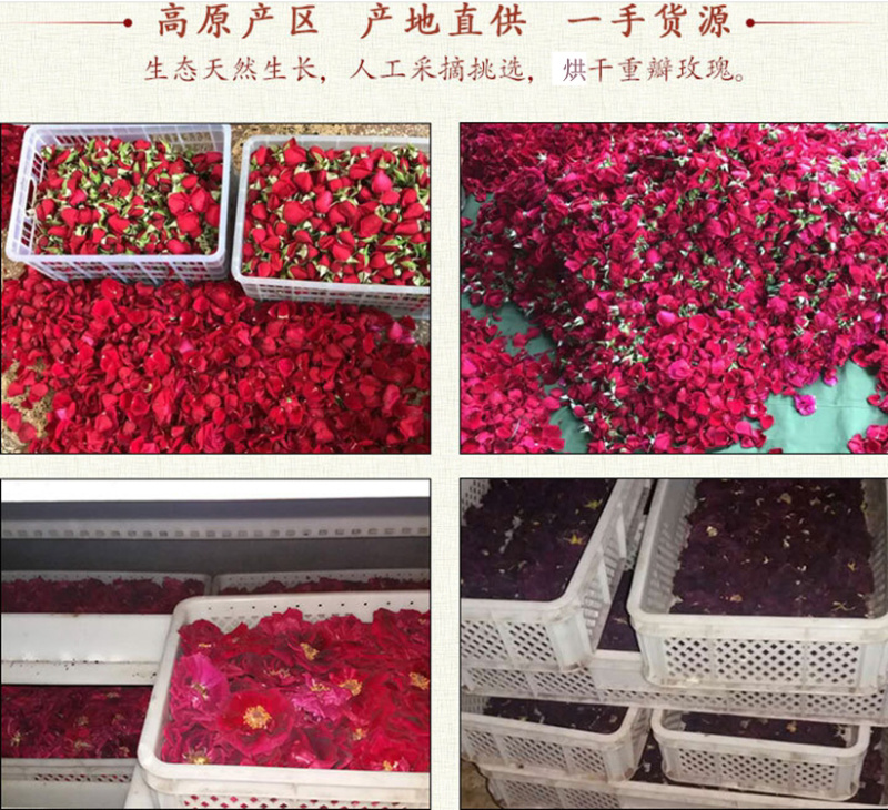 玫瑰花茶云南墨红玫瑰金边玫瑰花茶产地直供