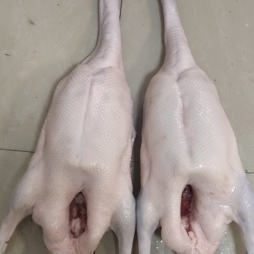 黑棕鹅