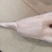 黑棕鹅