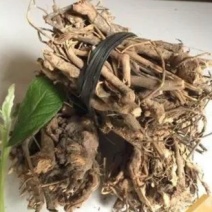 毛将军，产地直供道地药材，药典标准支持线上交易保障