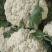 精品有机花菜河南松花菜，保证质量，全国代发，量大从优