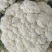 精品有机花菜河南松花菜，保证质量，全国代发，量大从优