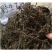 石蝉草,产地直供道地药材,药典标准支持线上交易保障