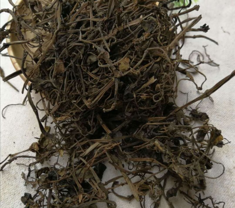 石蝉草，产地直供道地药材，药典标准支持线上交易保障