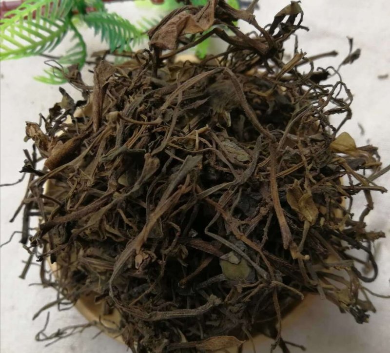石蝉草，产地直供道地药材，药典标准支持线上交易保障