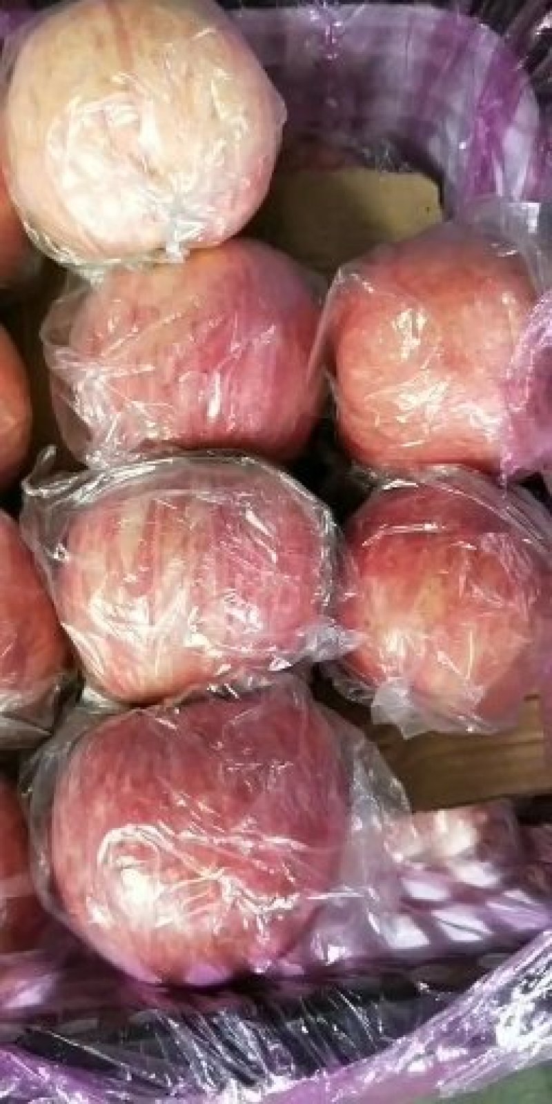 山西万荣冷库红富士纸加膜大量供应，产地直销，可视频看货！