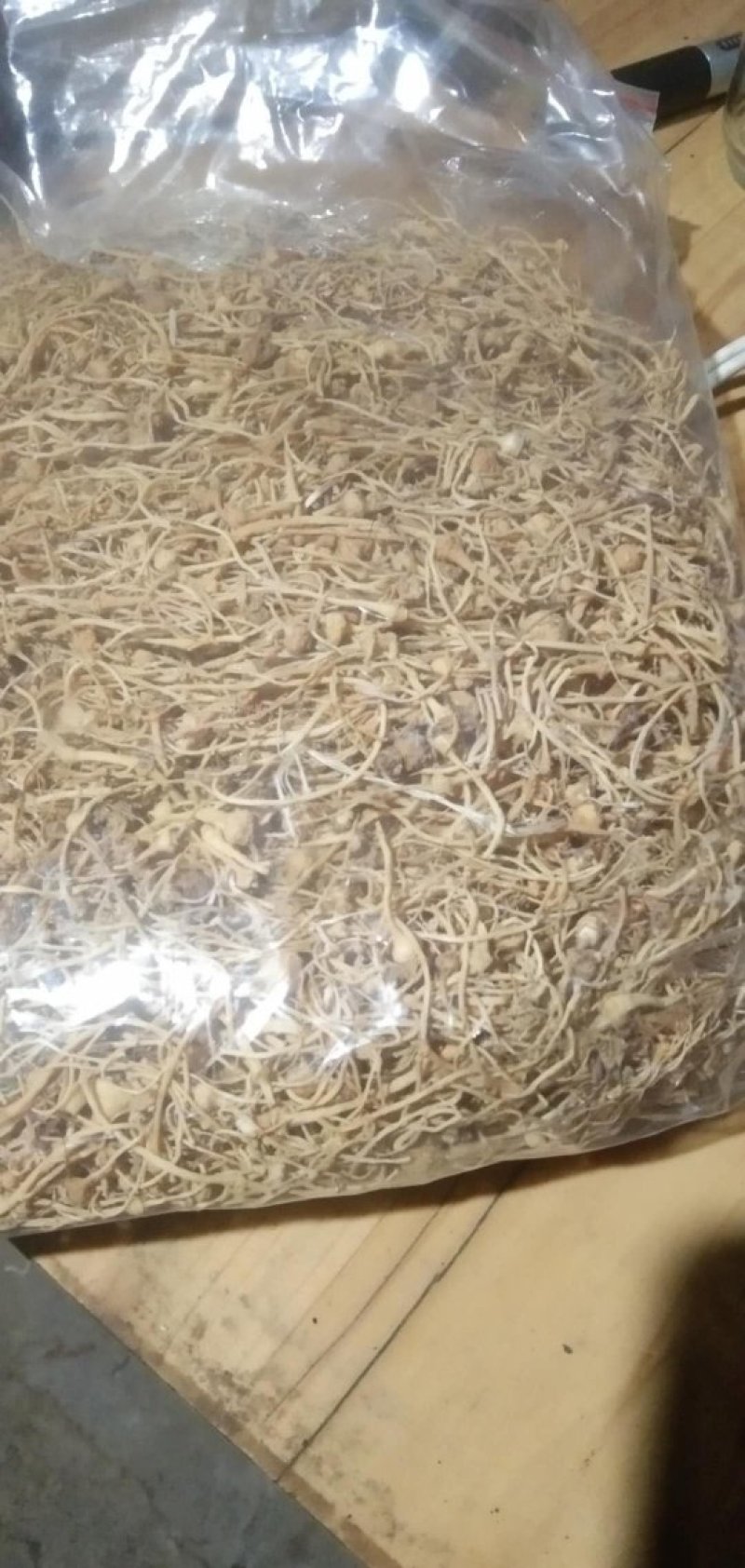 珠子参