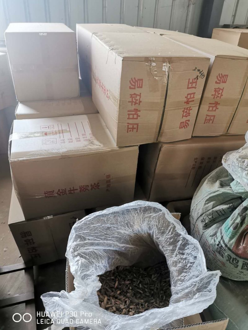 牛蒡产地山东一手货牛蒡源没有中间商差价量大从优