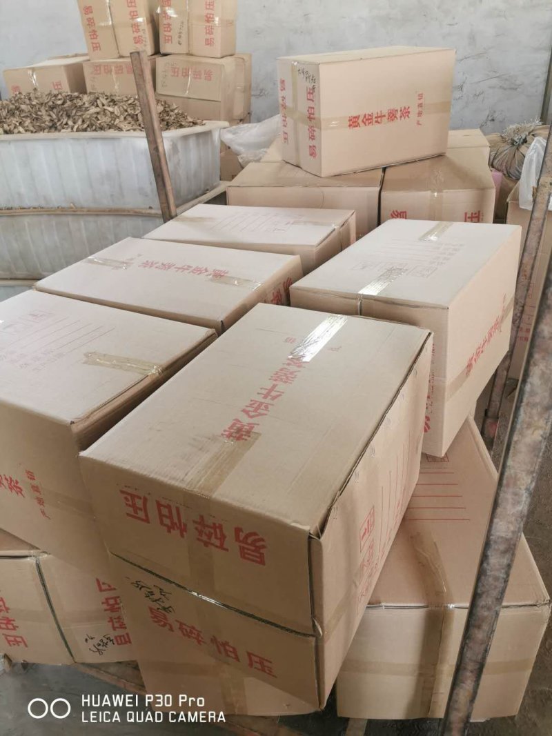 牛蒡产地山东一手货牛蒡源没有中间商差价量大从优