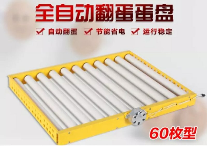 孵化机多功能自动小型家用孵化器翻蛋蛋盘蛋盘滚轴