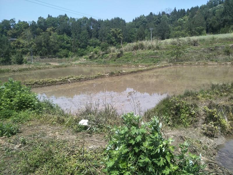 禽类养殖土地水电路全通