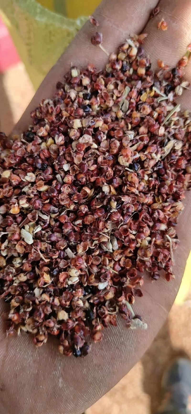 小米壳填充养殖高粱壳养殖质量保证