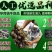 白玉蜗牛养殖基地包技术包回收签订合同。