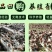白玉蜗牛养殖基地包技术包回收签订合同。