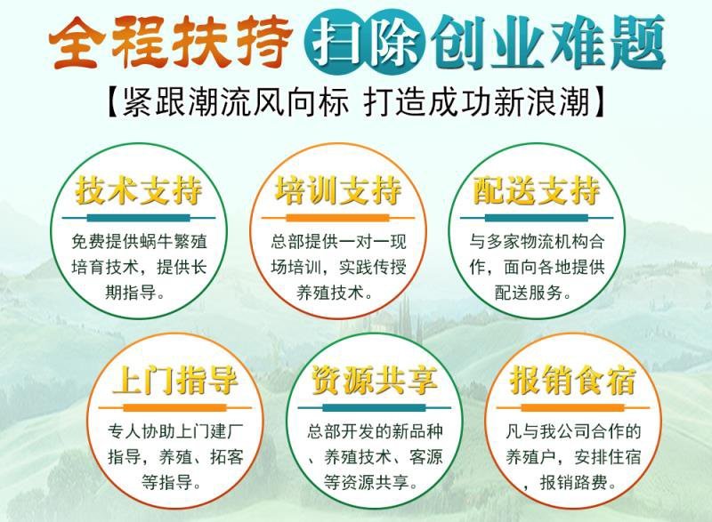 白玉蜗牛养殖基地包技术包回收签订合同。