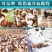 白玉蜗牛养殖基地包技术包回收签订合同。