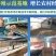 白玉蜗牛养殖基地包技术包回收签订合同。