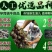 白玉蜗牛养殖基地包技术包回收签订合同。