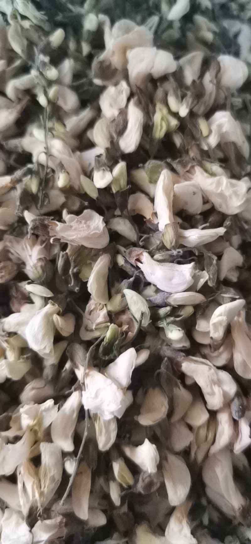 农家晒干全干洋槐花