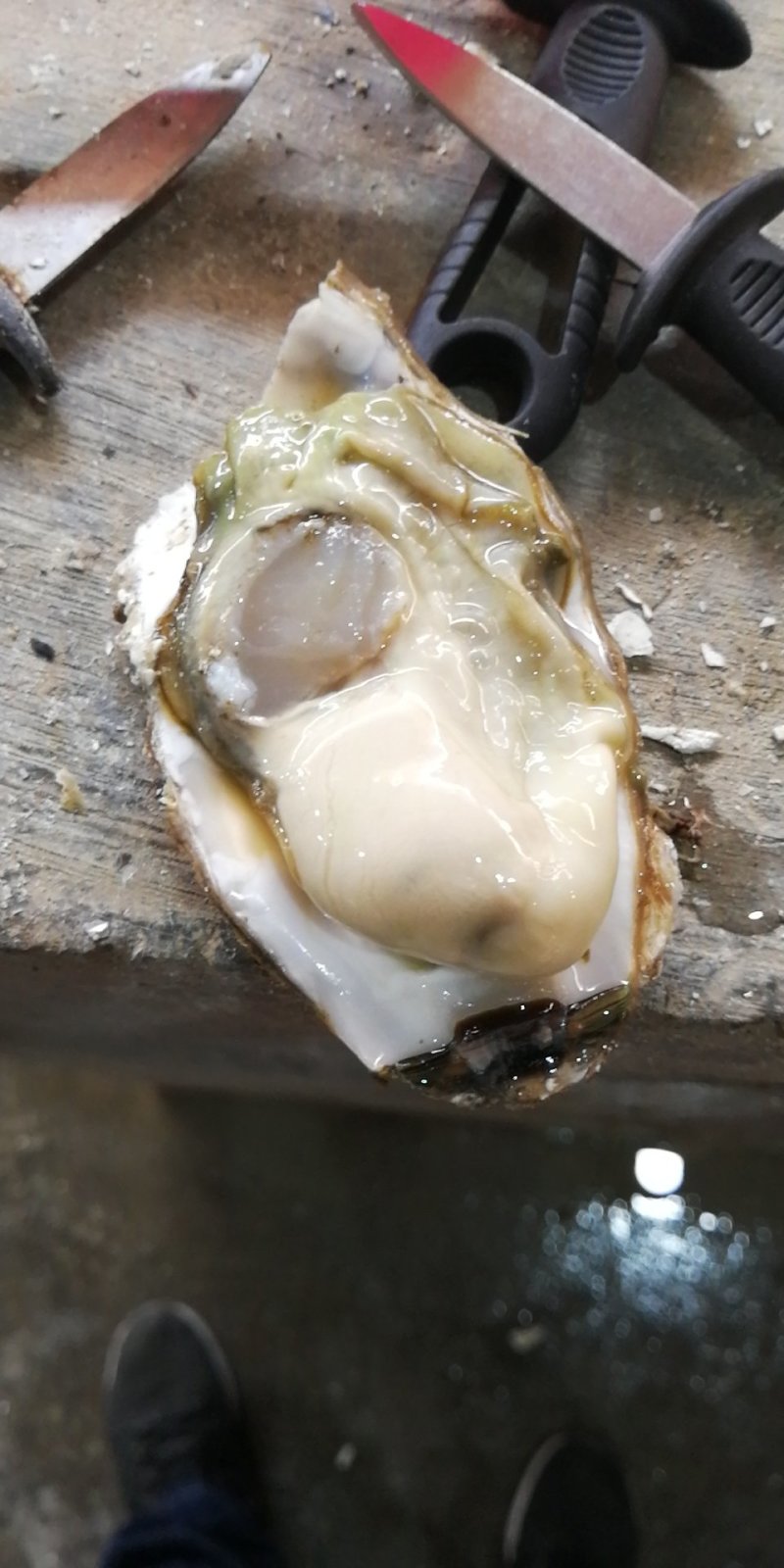 乳山生蚝深海乳山生蚝自家养殖