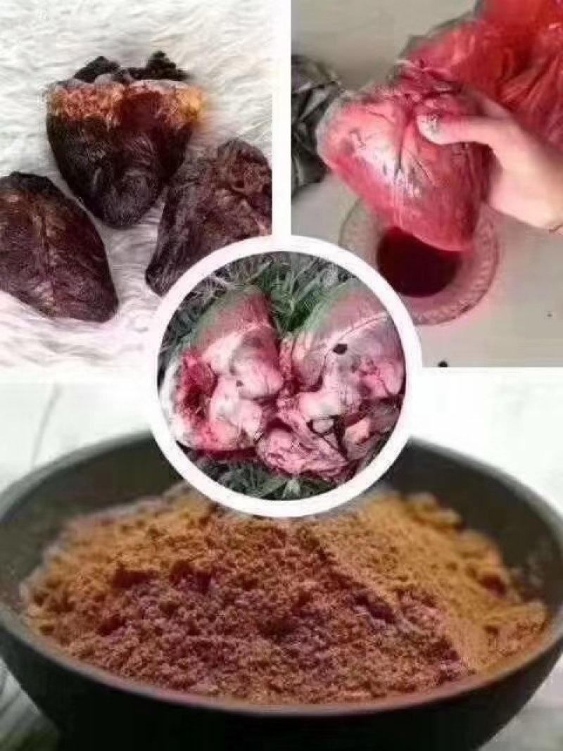 五一特惠梅花鹿鹿心粉3瓶送鹿胎膏一瓶包邮