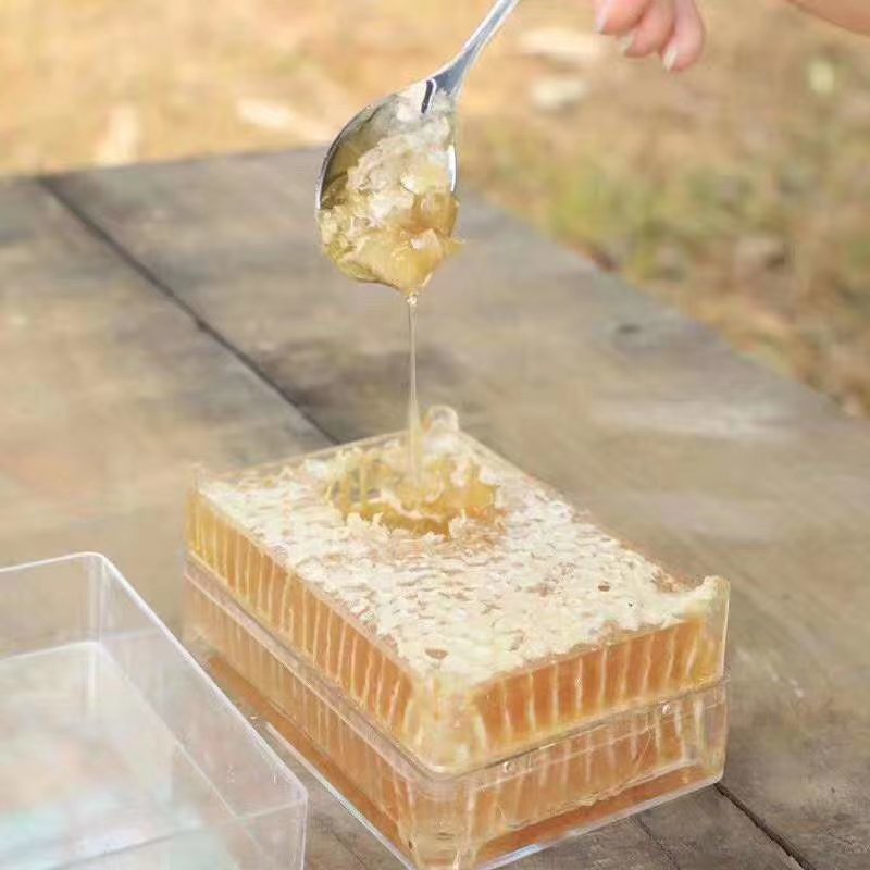 一斤装蜂巢蜜500克荆条蜂巢蜜