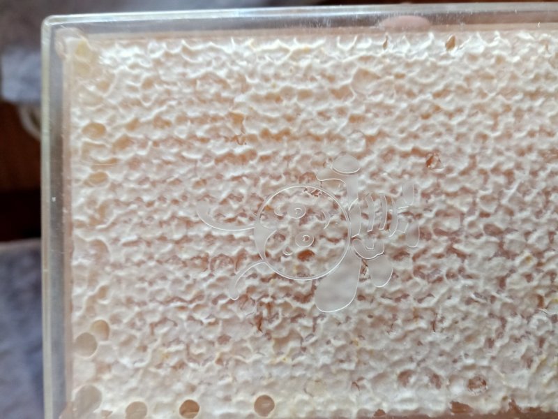 一斤装蜂巢蜜500克荆条蜂巢蜜