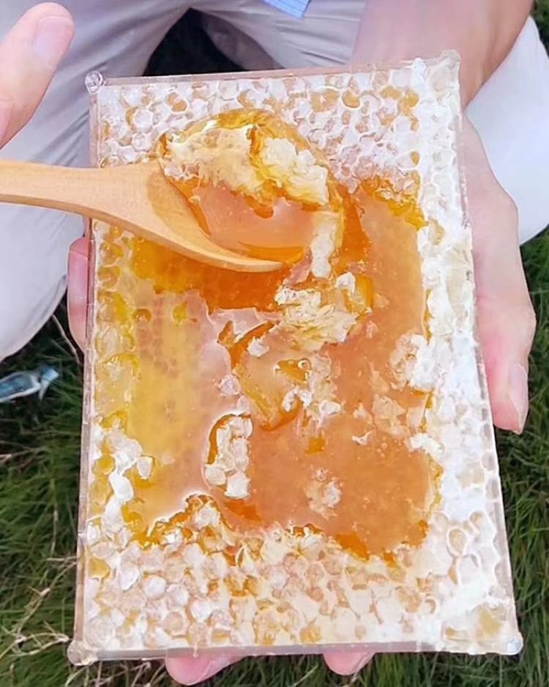 一斤装蜂巢蜜500克荆条蜂巢蜜