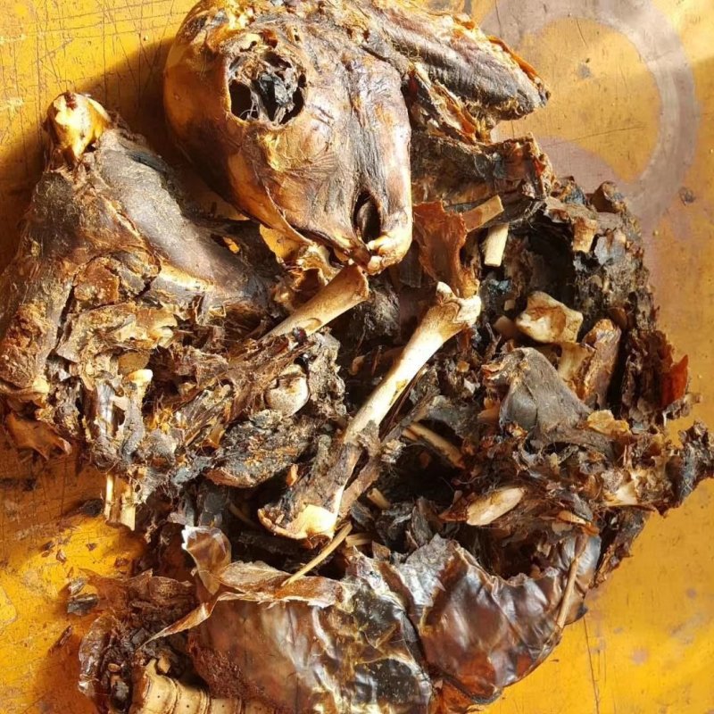 批发梅花鹿鹿胎粉保纯保真一个1000克