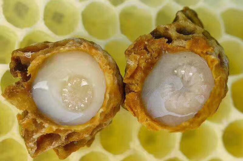 2020年新鲜蜂王浆批发