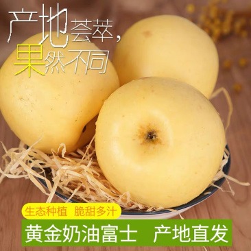 【奶油富士苹果】5斤大果，一件代发，包邮坏果包赔！