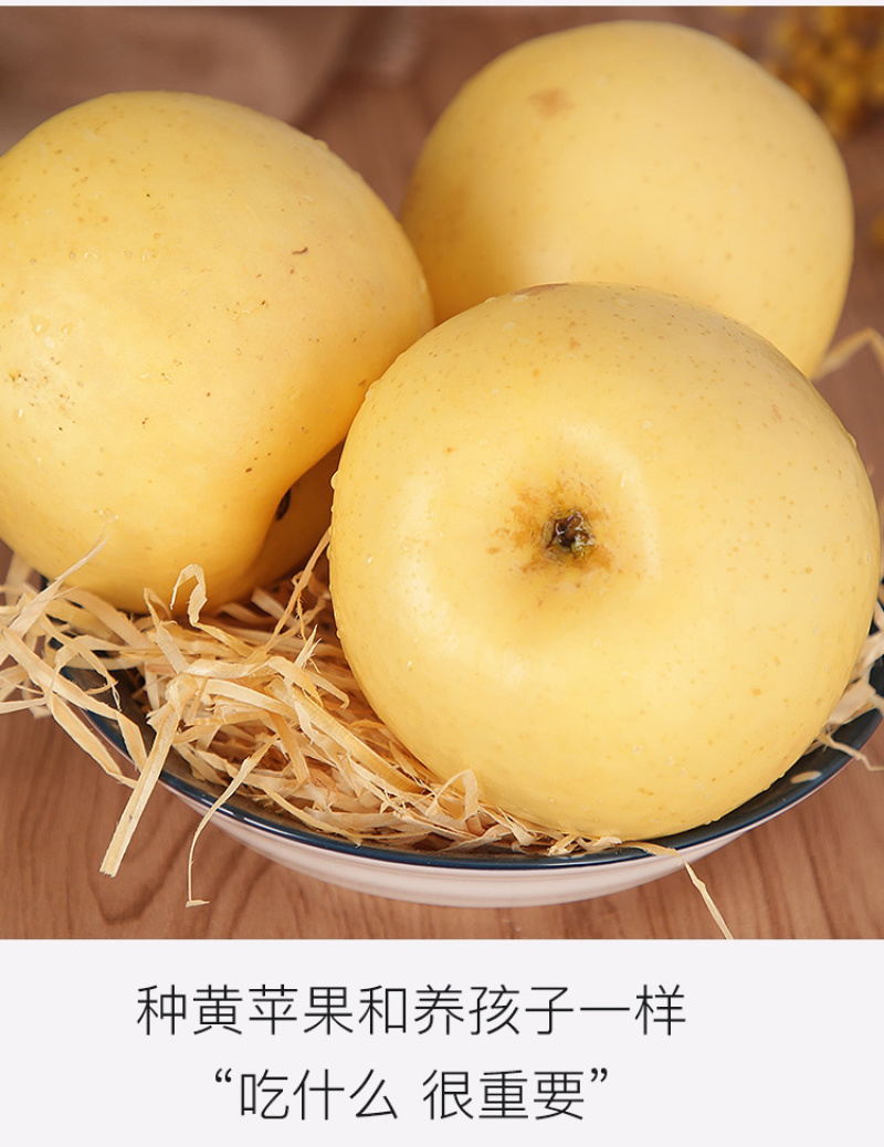 【奶油富士苹果】5斤大果，一件代发，包邮坏果包赔！