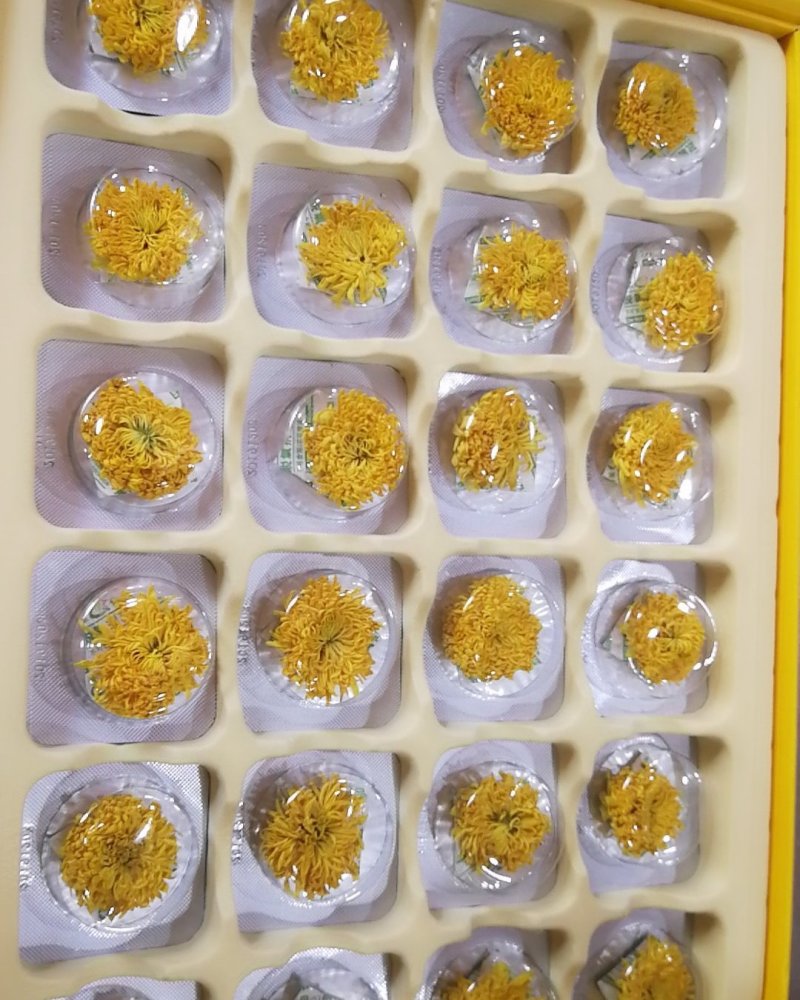 郦邑贡菊
