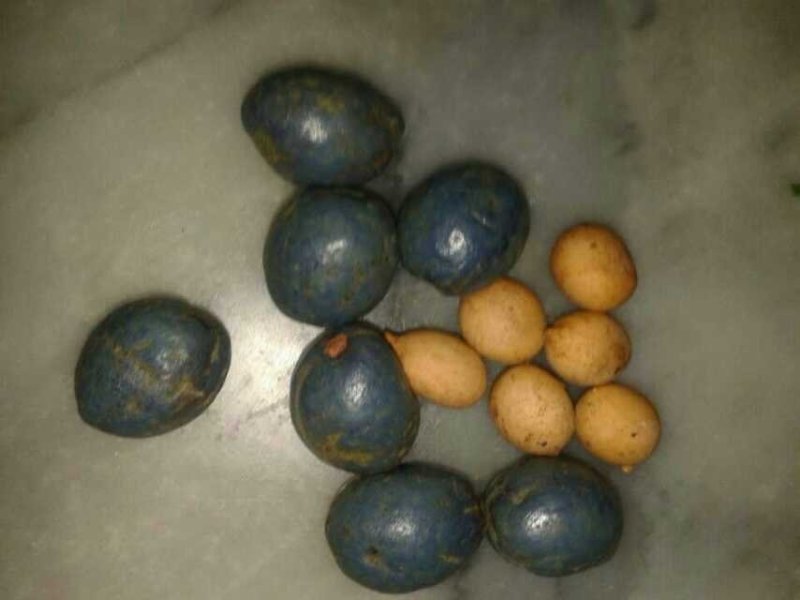 文玩核桃文玩各种原料