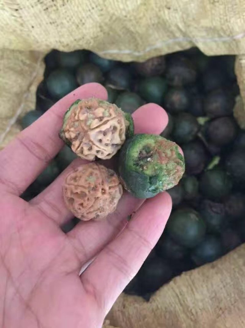 文玩核桃文玩各种原料