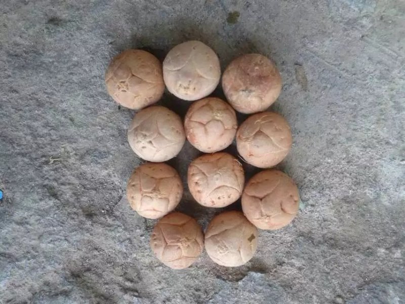 文玩核桃文玩各种原料