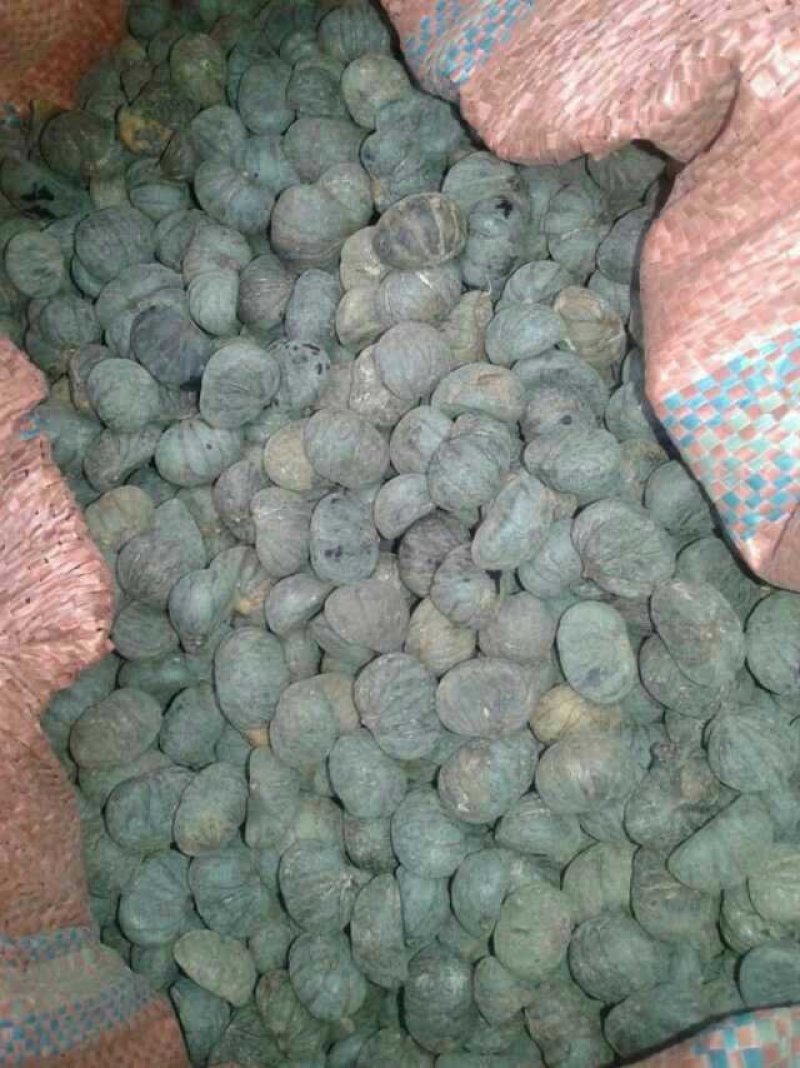 文玩核桃文玩各种原料