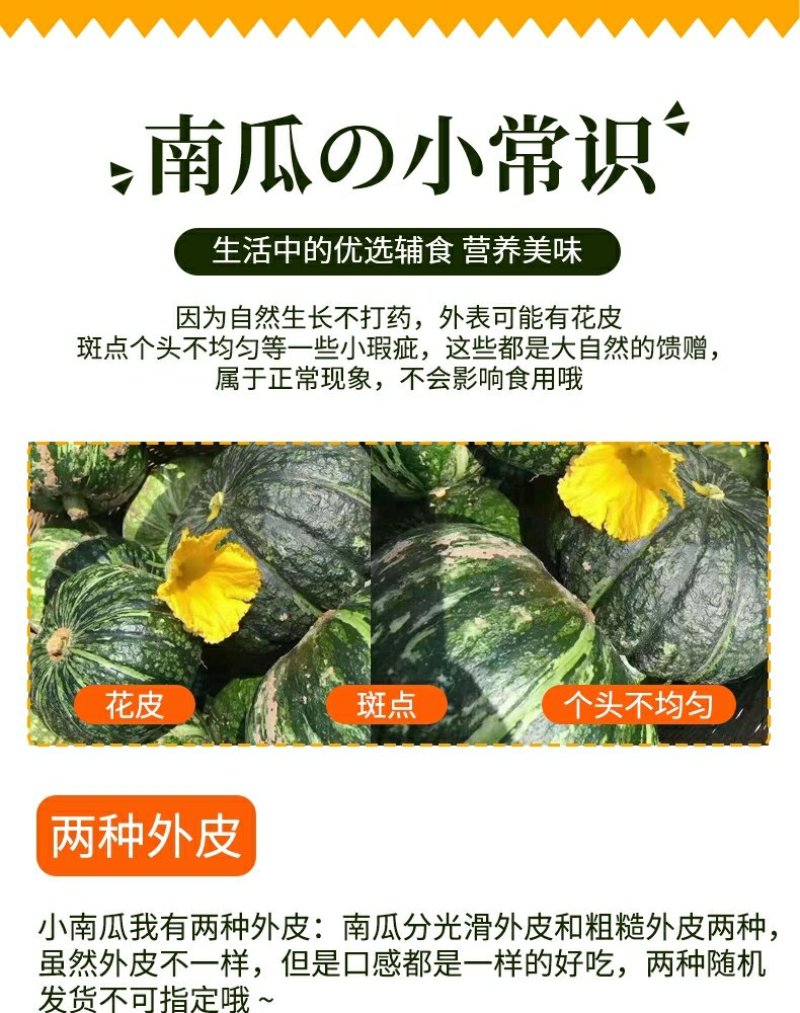 正宗板栗南瓜干面甜不止好吃营养丰富味道好辅食